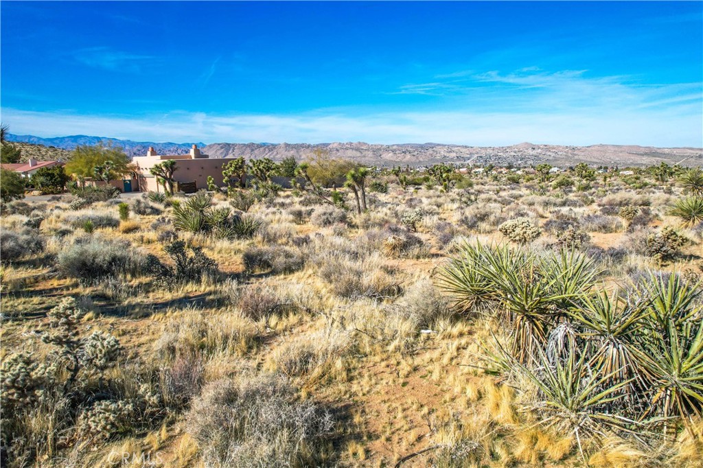 MLS #JT25185963 image #22