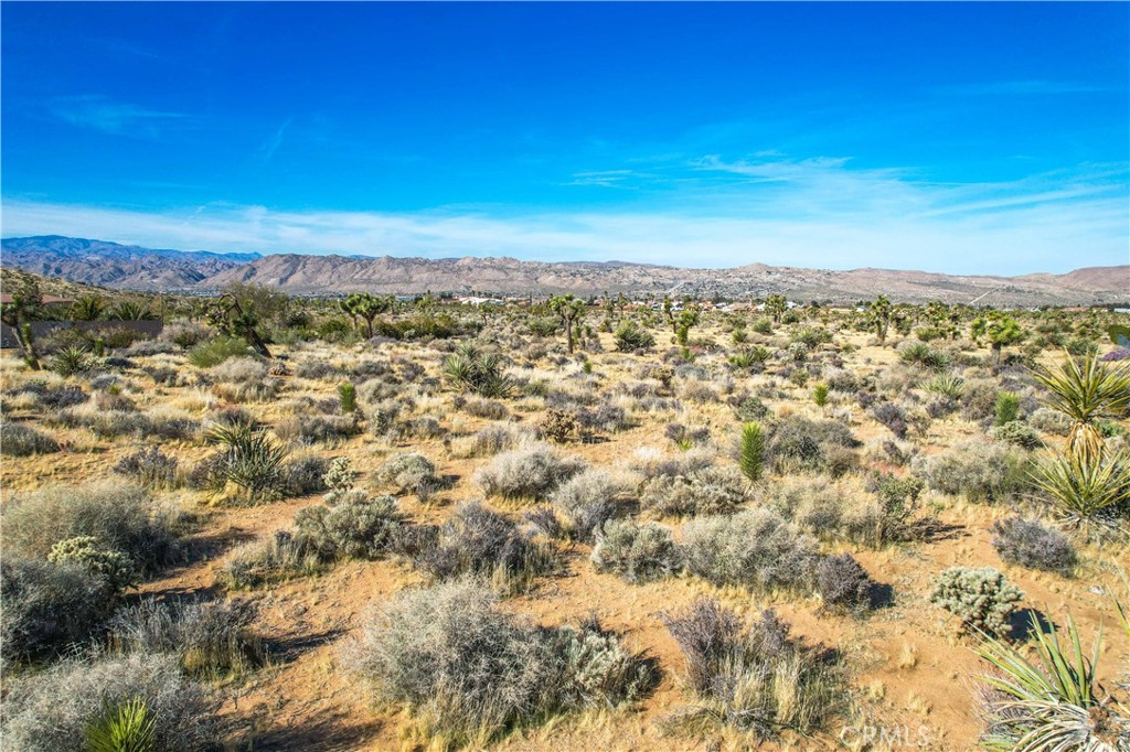 MLS #JT25185963 image #23