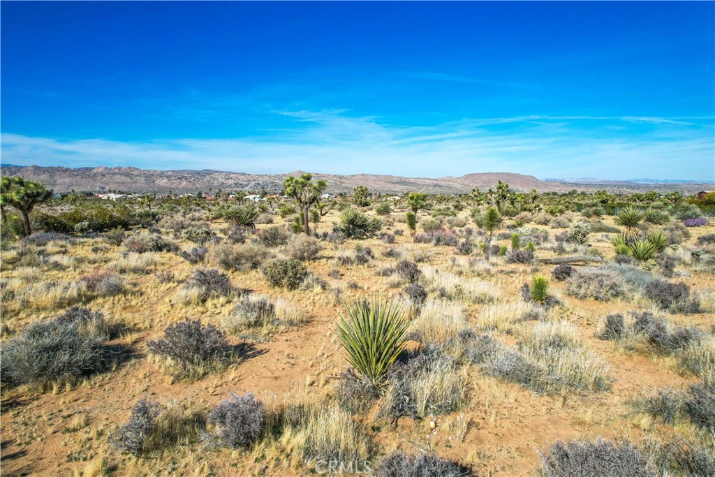 MLS #JT25185963 image #24