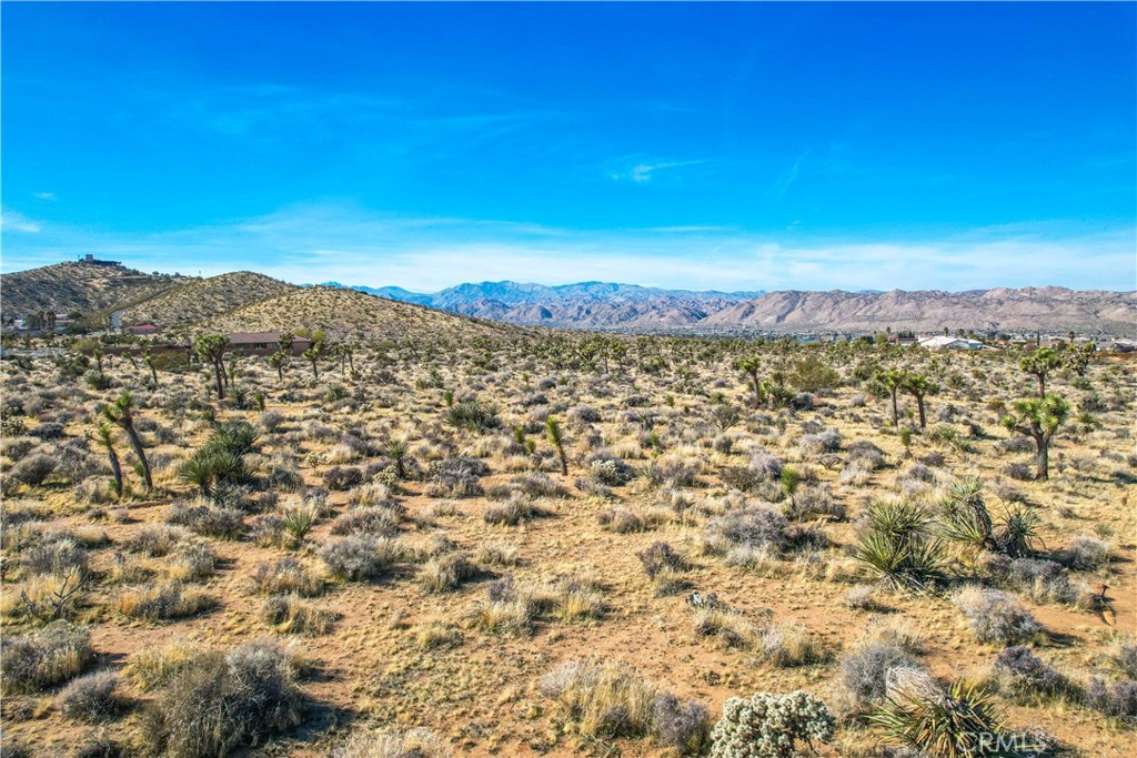 MLS #JT25185963 image #25