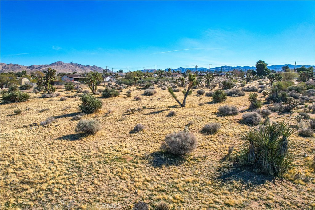 MLS #JT25185963 image #26