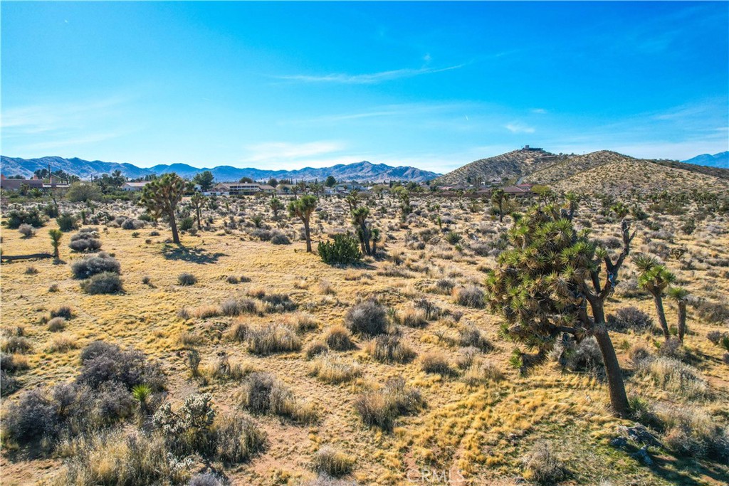 MLS #JT25185963 image #27