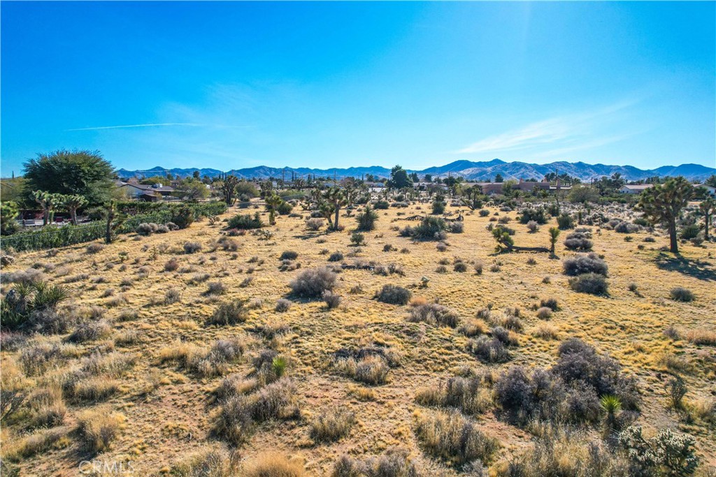 MLS #JT25185963 image #28