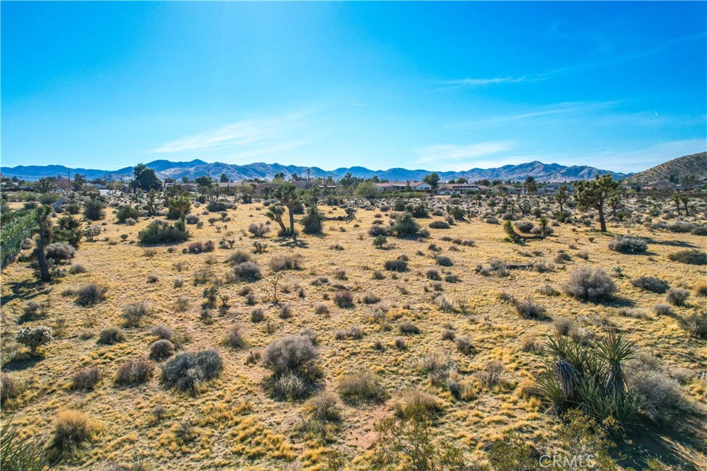 MLS #JT25185963 image #29