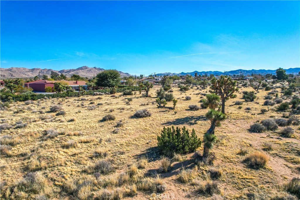 MLS #JT25185963 image #30