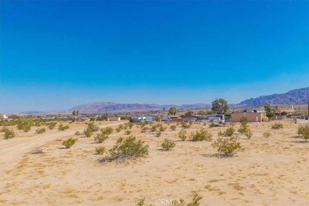 MLS #JT25186161 image #1