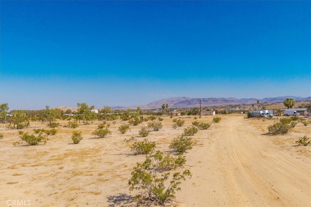 MLS #JT25186161 image #2