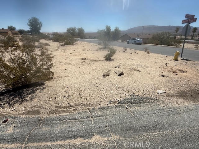 MLS #JT25186217 image #1