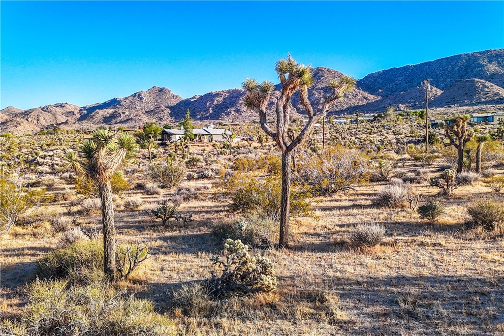 MLS #JT25187079 image #46