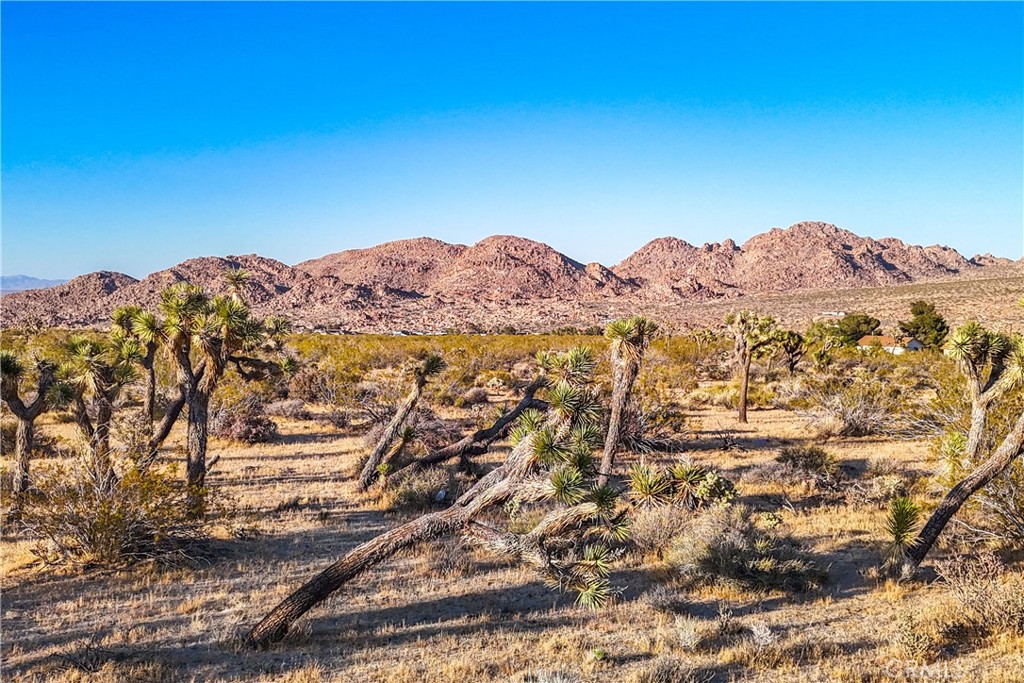 MLS #JT25187079 image #47