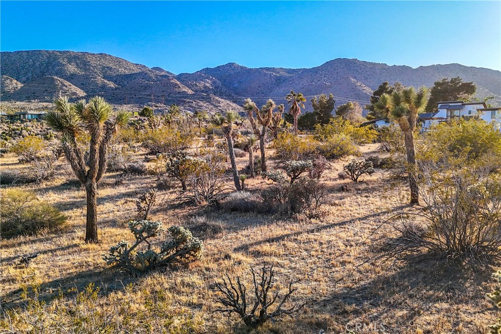 MLS #JT25187079 image #48