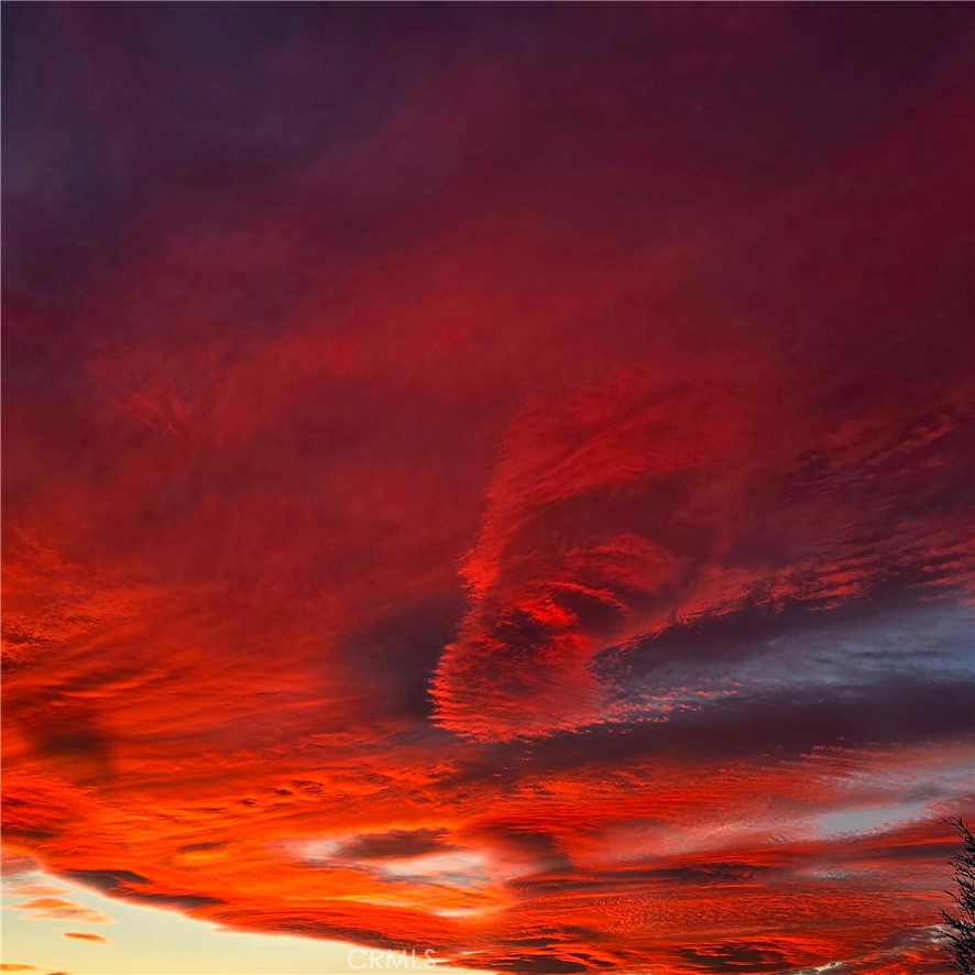 MLS #JT25187143 image #20