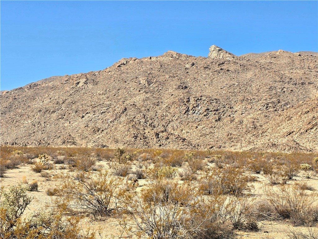 MLS #JT25187143 image #5