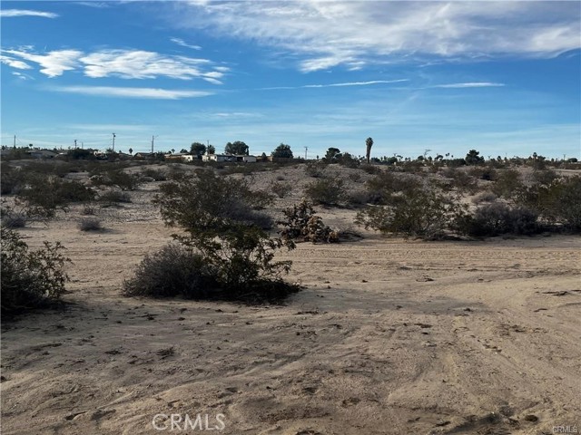 MLS #JT25189444 image #3