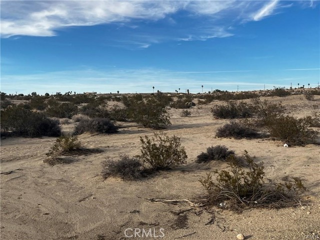 MLS #JT25189444 image #4