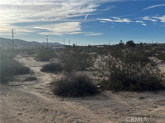 MLS #JT25189444 image #5