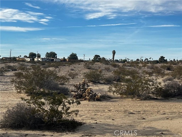 MLS #JT25189444 image #7