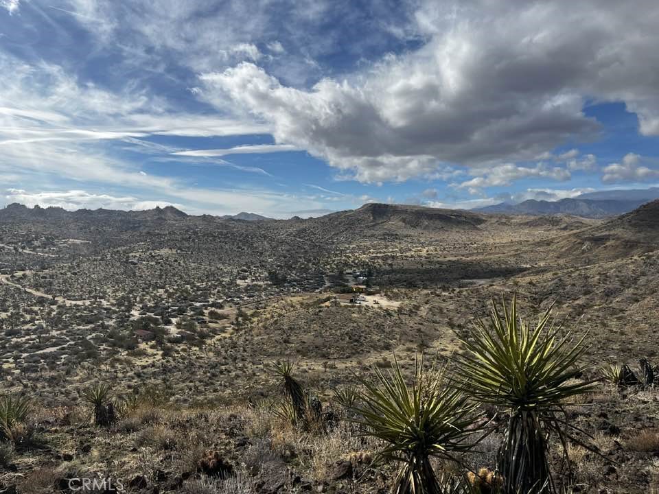 MLS #JT25189473 image #1