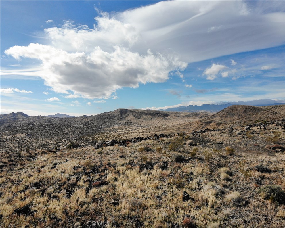 MLS #JT25189473 image #42