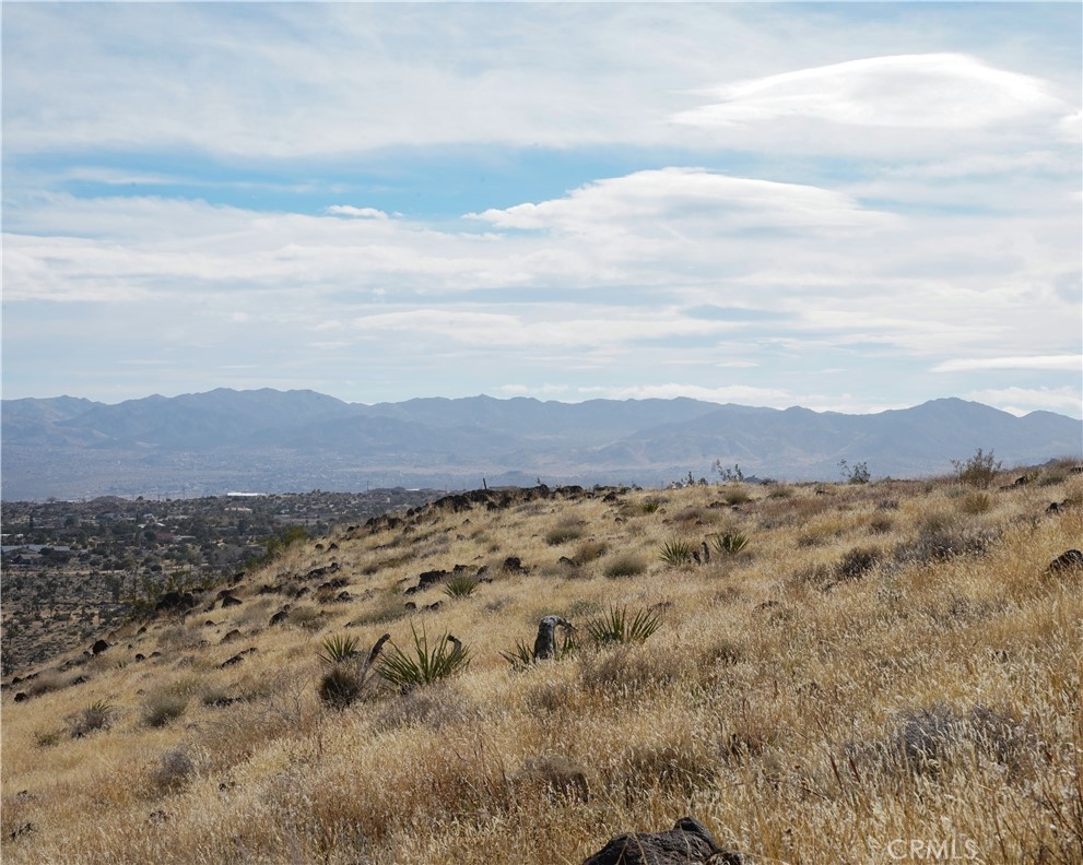 MLS #JT25189473 image #45