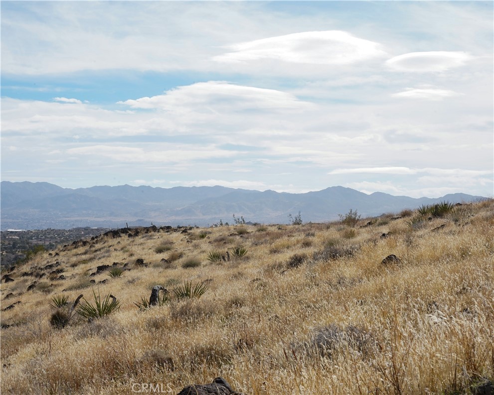 MLS #JT25189473 image #46