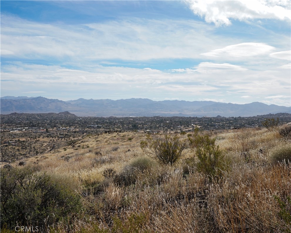 MLS #JT25189473 image #52