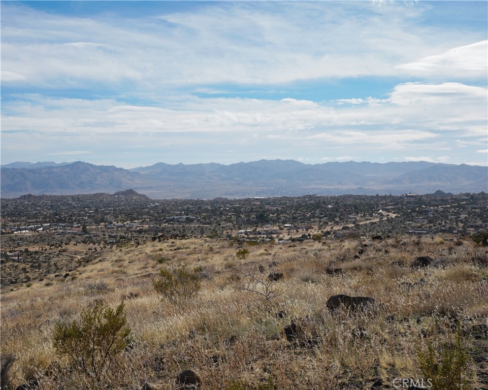 MLS #JT25189473 image #53