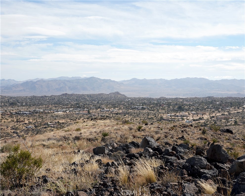 MLS #JT25189473 image #54