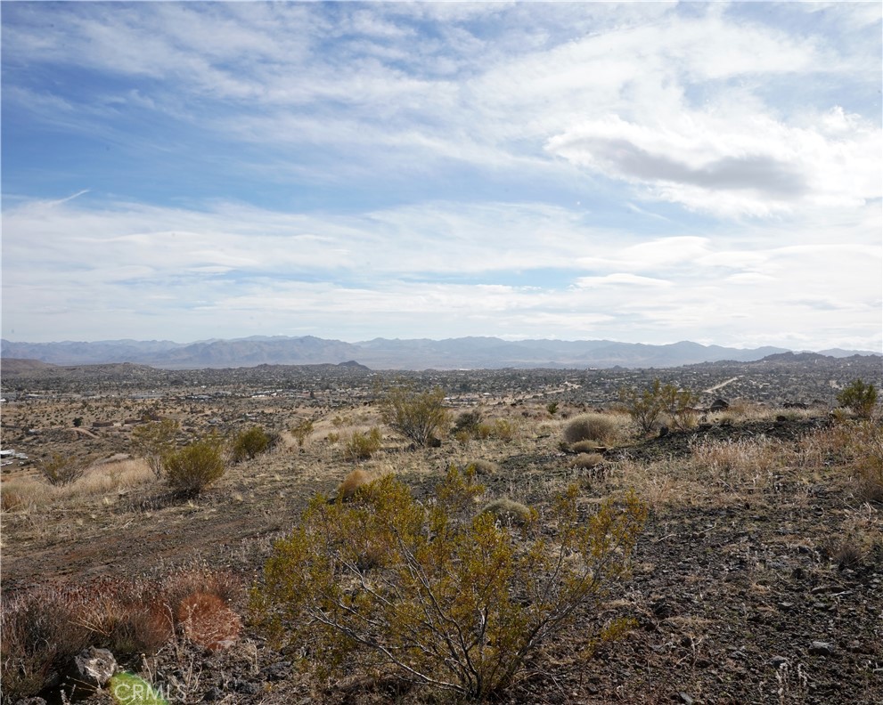 MLS #JT25189473 image #57