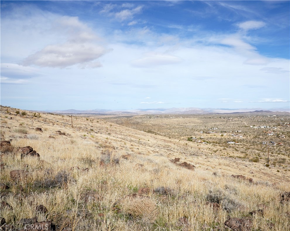 MLS #JT25189473 image #59