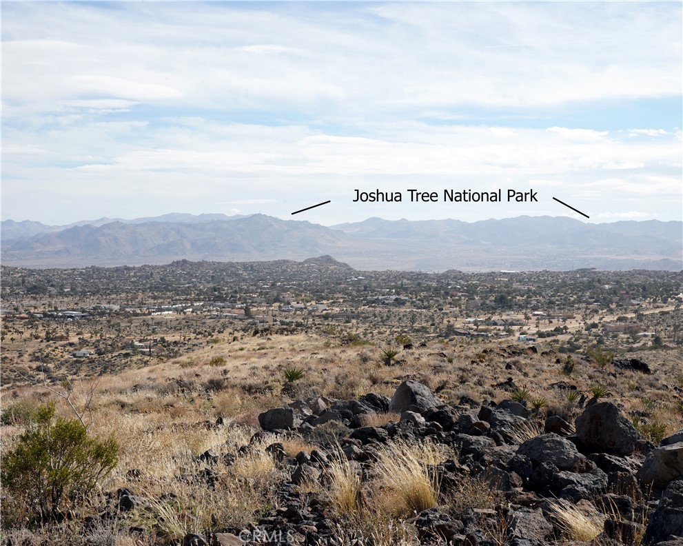 MLS #JT25189473 image #6