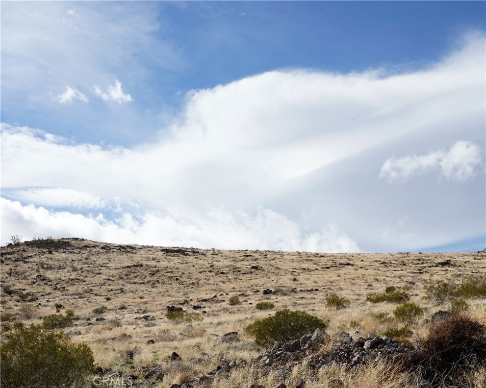 MLS #JT25189473 image #61