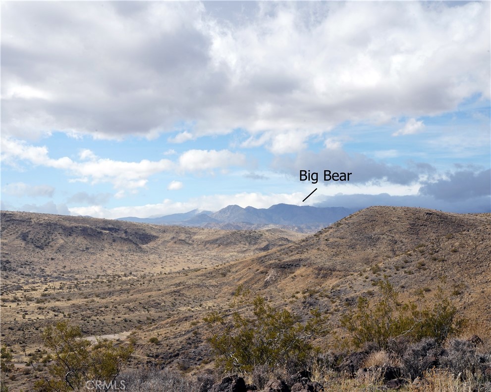 MLS #JT25189473 image #7