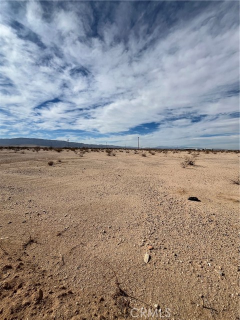 MLS #JT25191767 image #1