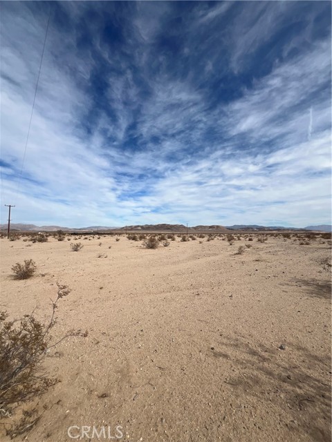 MLS #JT25191767 image #5