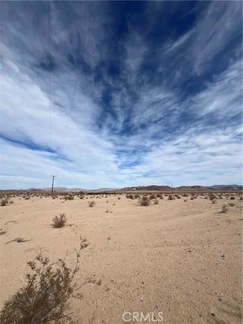 MLS #JT25191767 image #6