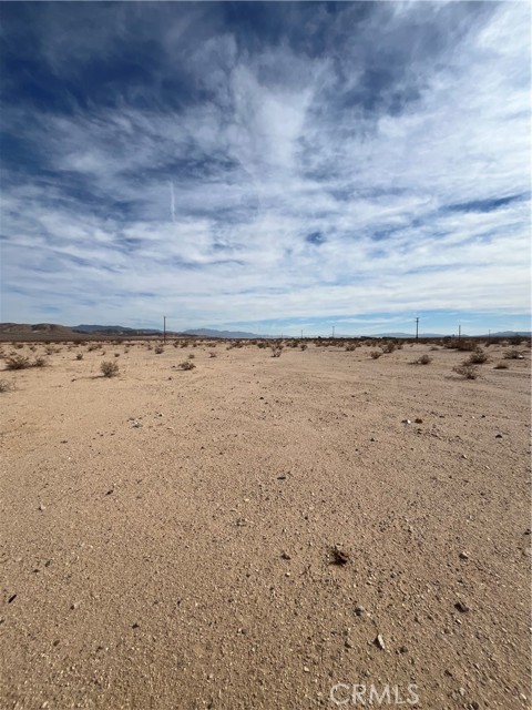 MLS #JT25191767 image #7