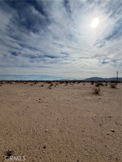 MLS #JT25191767 image #8