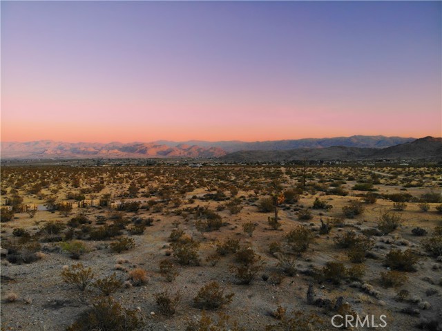 MLS #JT25193876 image #14