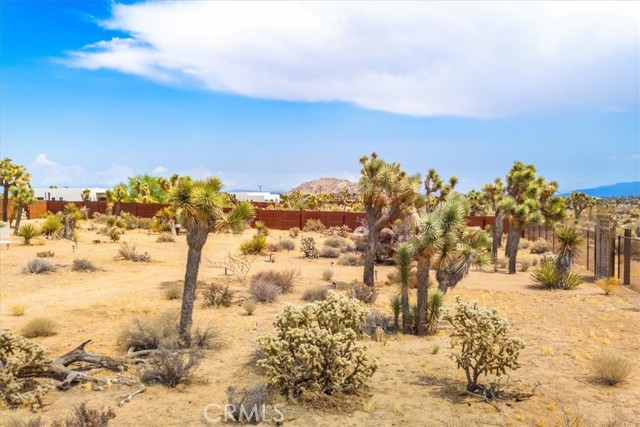 MLS #JT25194371 image #71