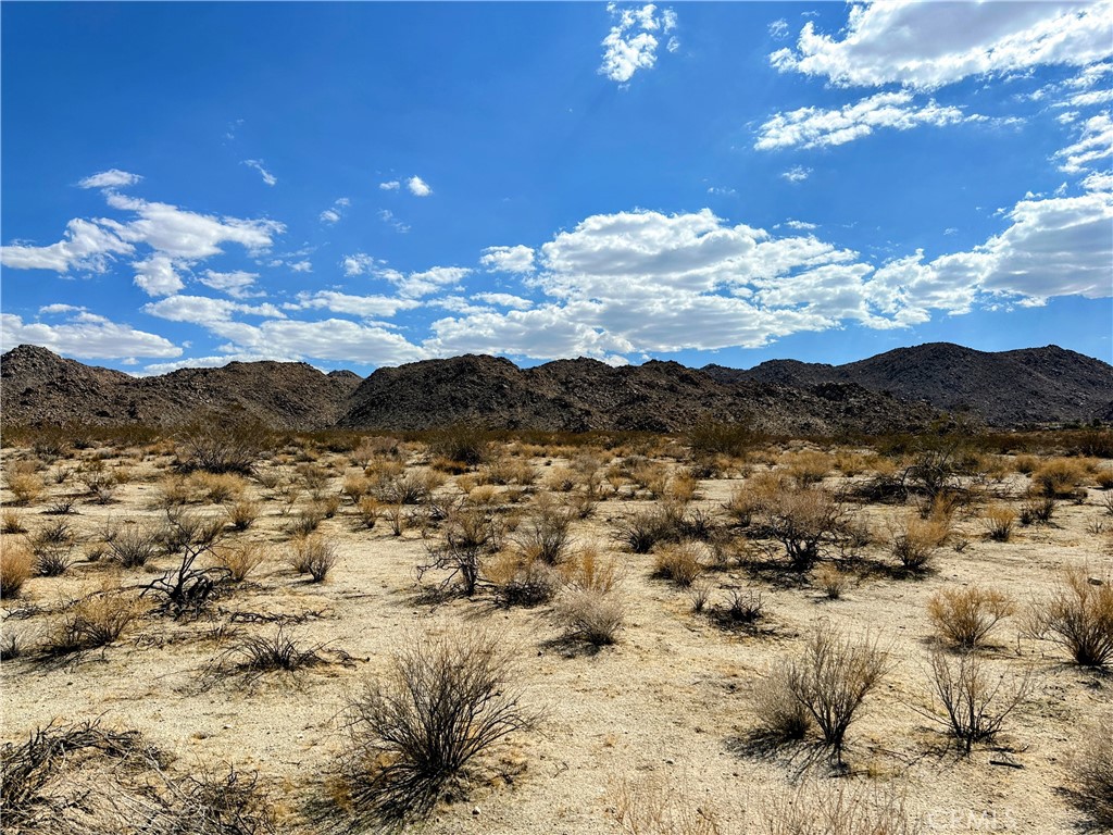 MLS #JT25196071 image #1