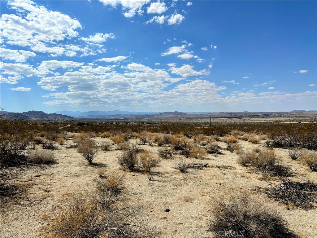 MLS #JT25196071 image #3