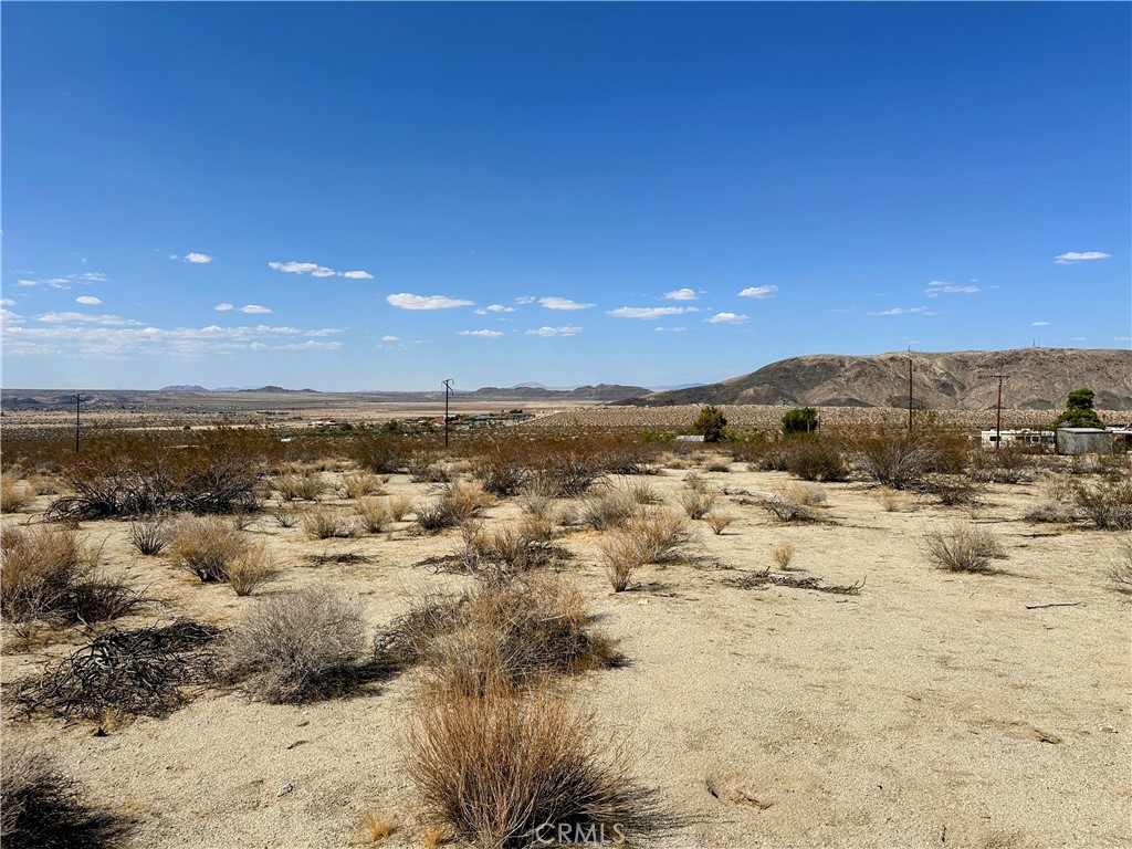 MLS #JT25196071 image #4