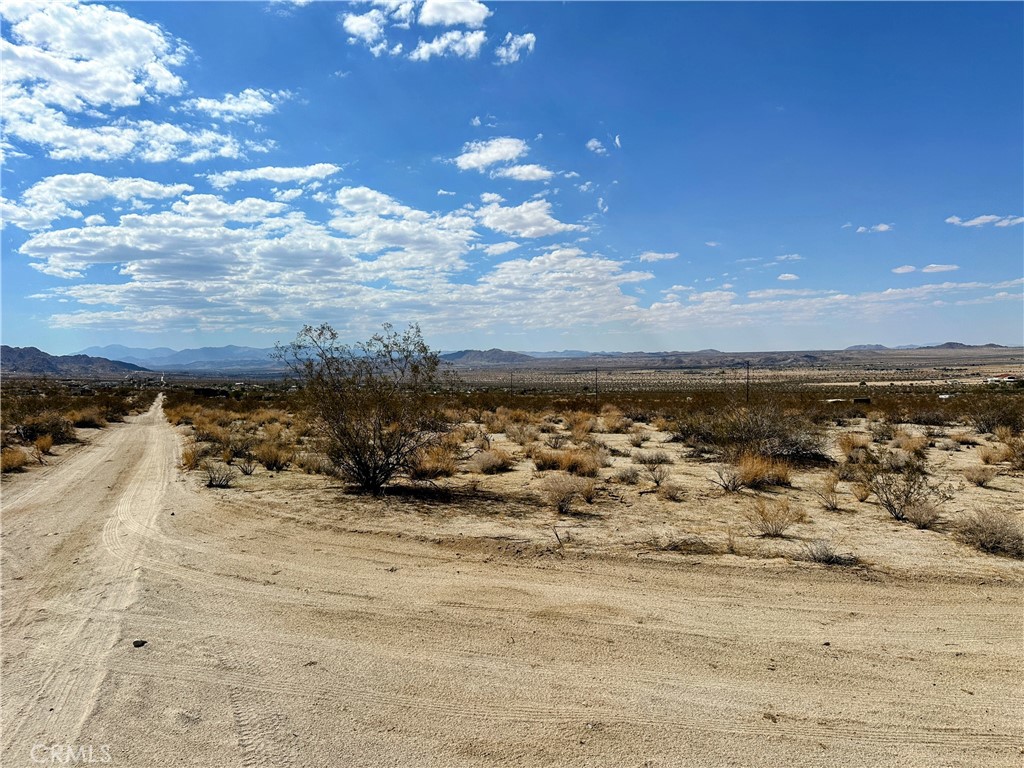 MLS #JT25196071 image #6