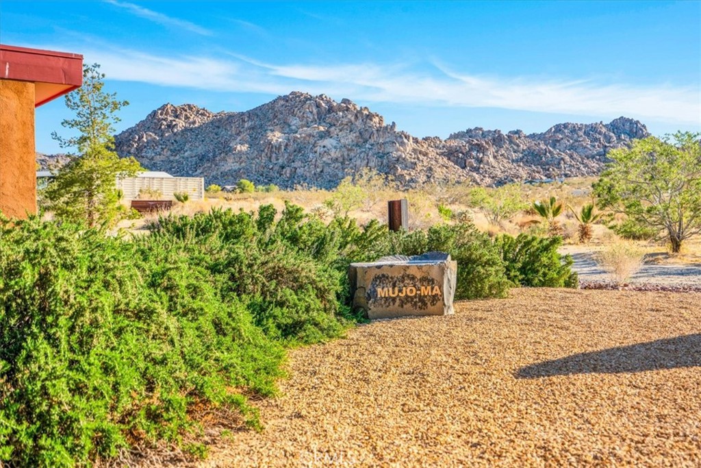 MLS #JT25196231 image #33