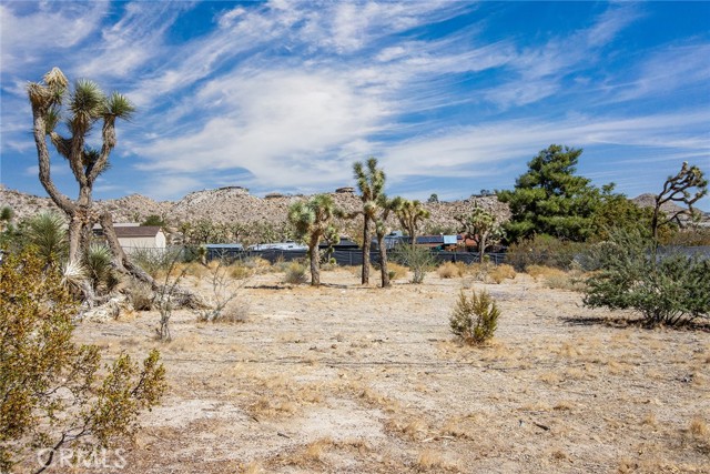 MLS #JT25196643 image #1