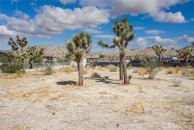 MLS #JT25196643 image #2