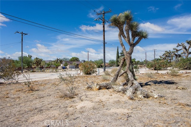 MLS #JT25196643 image #8