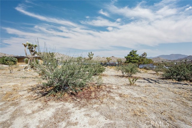 MLS #JT25196643 image #9