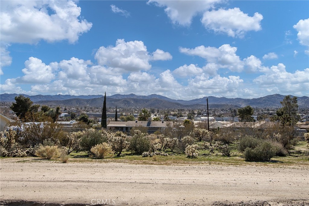 MLS #JT25196644 image #0